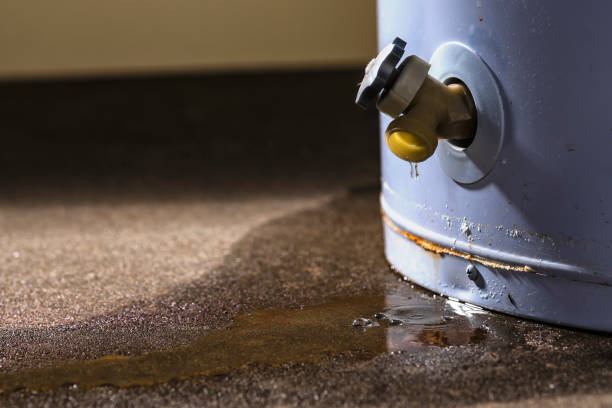 Best Flood restoration services  in , KY