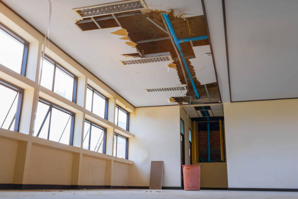 Best Sewage cleanup and water damage restoration  in , KY