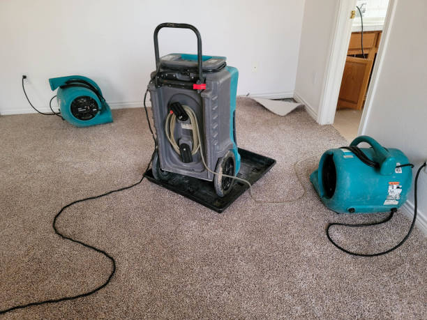 Best Water damage restoration experts  in , KY
