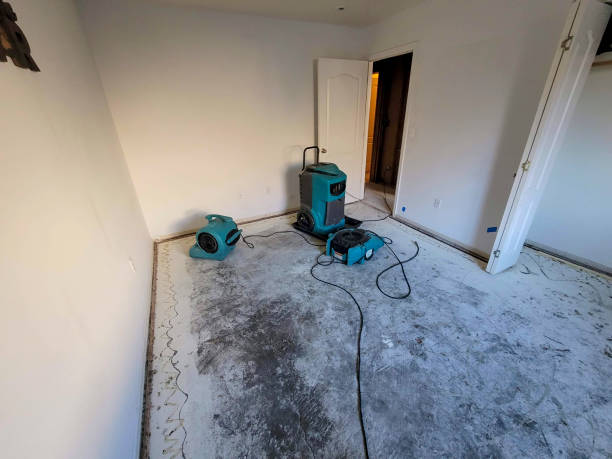  , KY Water damage restoration Pros
