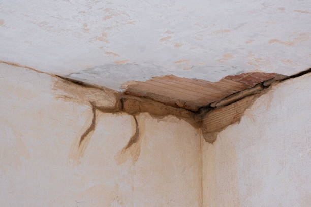 Best Water damage cleanup near me  in , KY