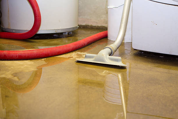 Best Water damage contractors near me  in , KY