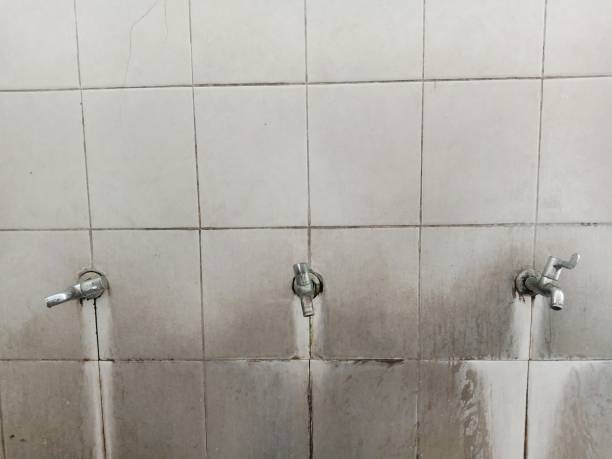 , KY Water damage restoration Pros