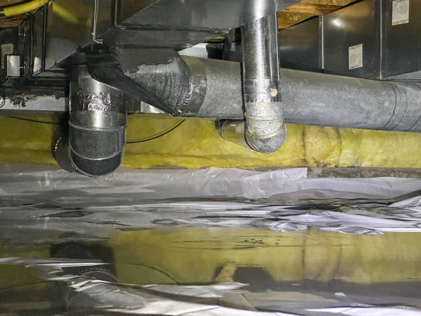 Best Ceiling water damage repair  in , KY