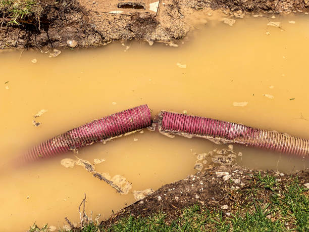 Best 24/7 water damage repair  in , KY