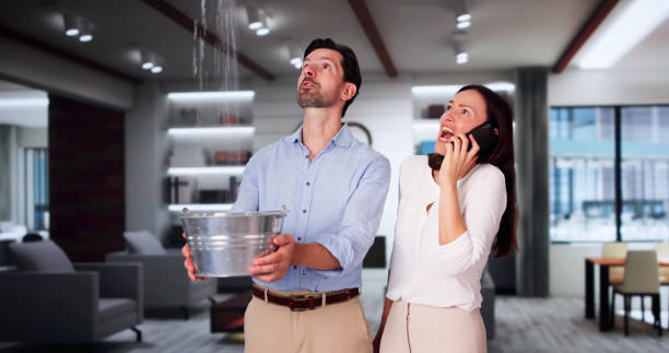 Best Sewage cleanup and water damage restoration  in , KY