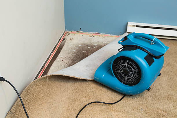 Best 24-hour water damage restoration  in , KY